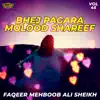 Faqeer Mehboob Ali Sheikh - Bhej Pagara Molood Shareef, Vol. 45